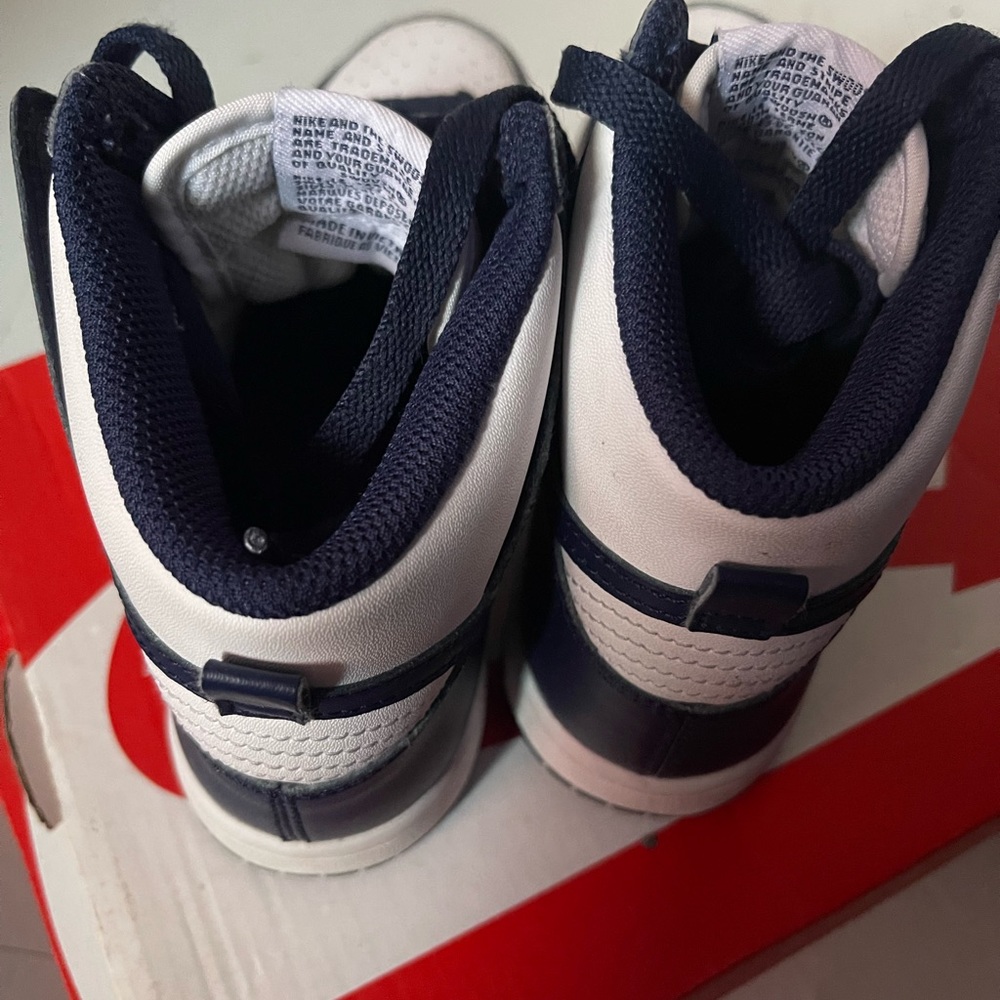 Nike Dunks High